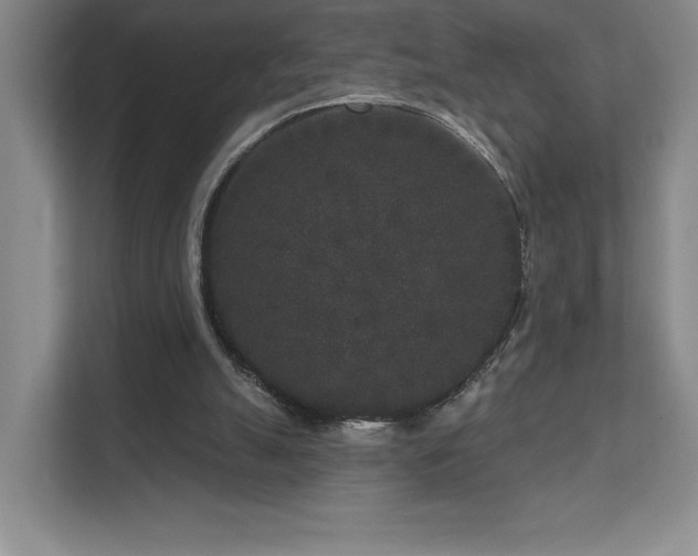 X0000111640055200907171555