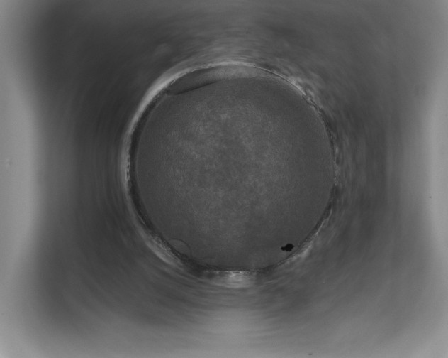 X0000111640056200907171555