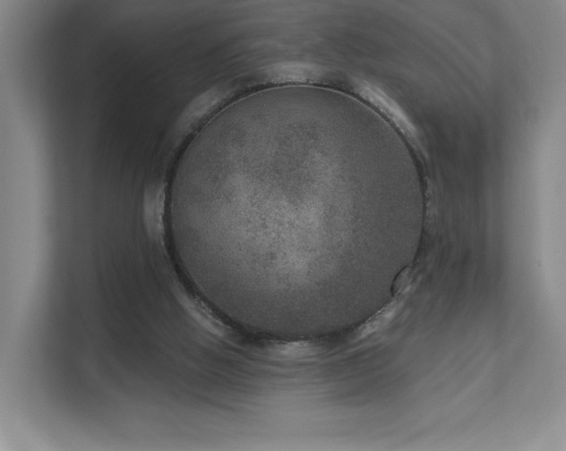 X0000111640058200907171555