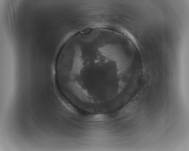 X0000111640059200907171555