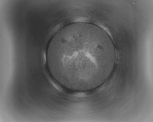 X0000111640061200907171555