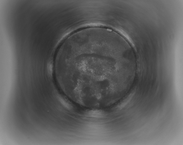 X0000111640063200907171555