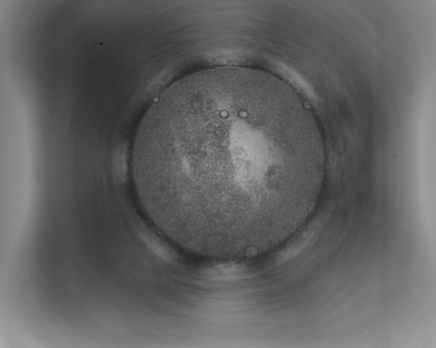 X0000111640065200907171555