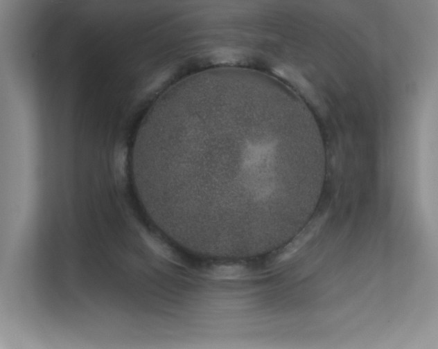 X0000111640066200907171555