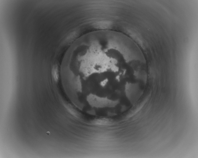 X0000111640069200907171555