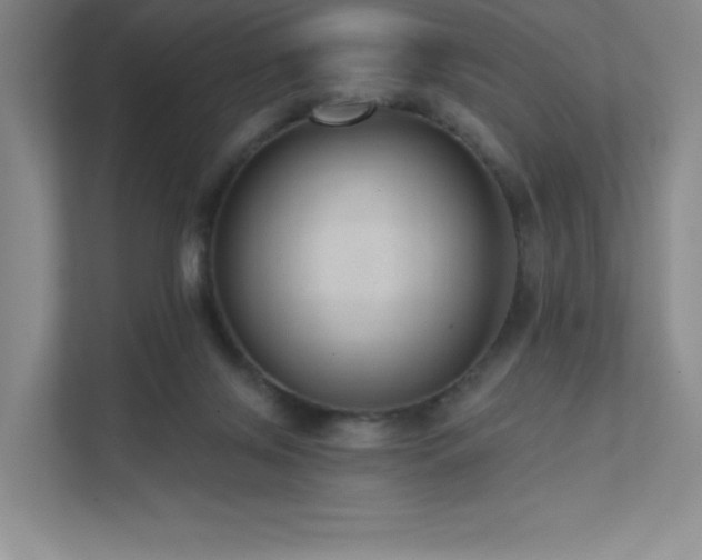 X0000111640071200907171555