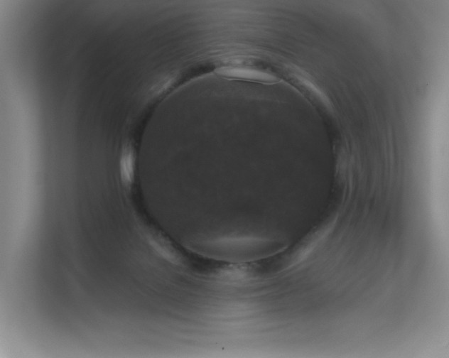 X0000111640076200907171555