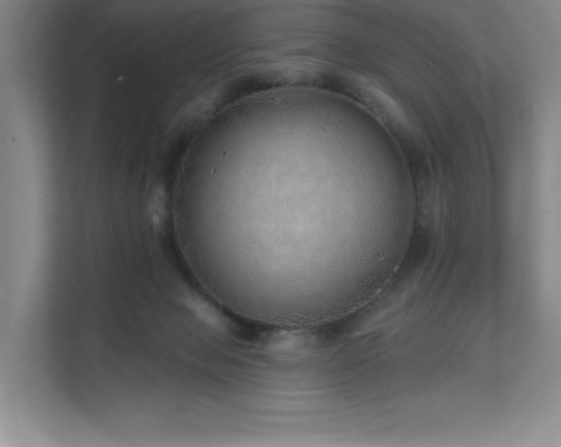 X0000111640077200907171555