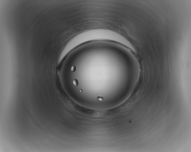 X0000111640080200907171555