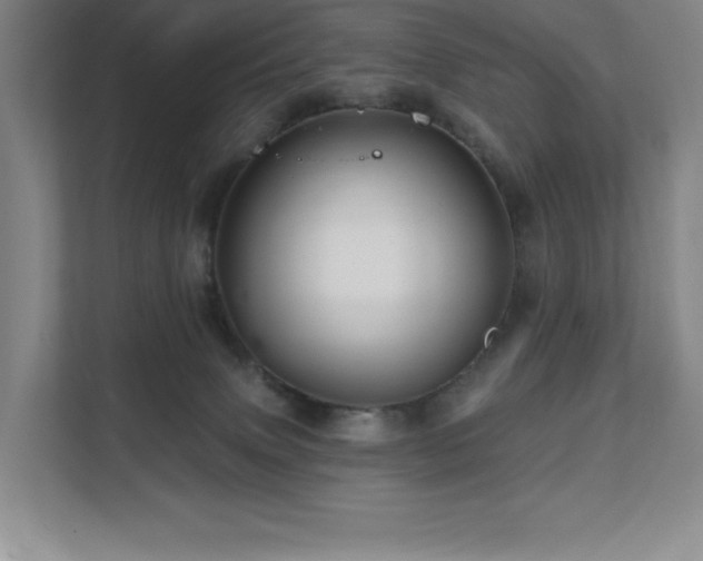 X0000111640083200907171555