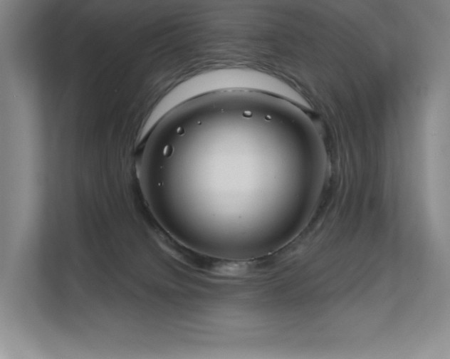 X0000111640084200907171555