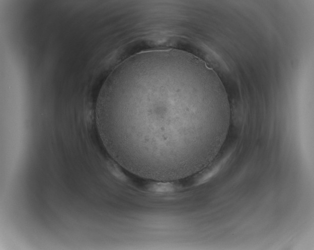 X0000111640085200907171555