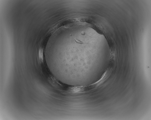 X0000111640094200907171555