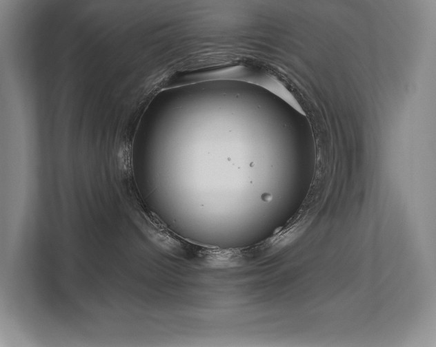 X0000111640096200907171555