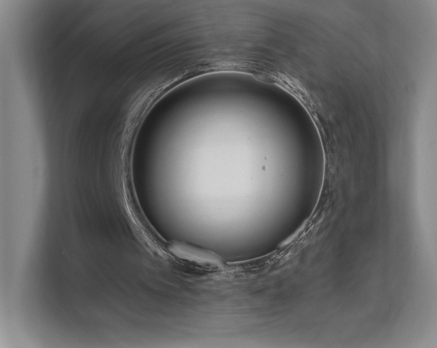 X0000111640097200907171555