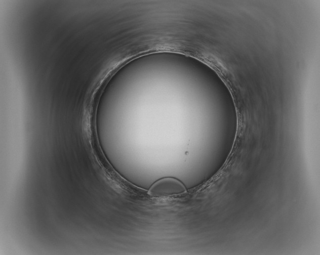 X0000111640098200907171555