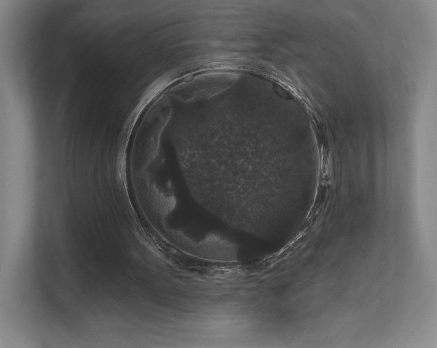 X0000111640099200907171555