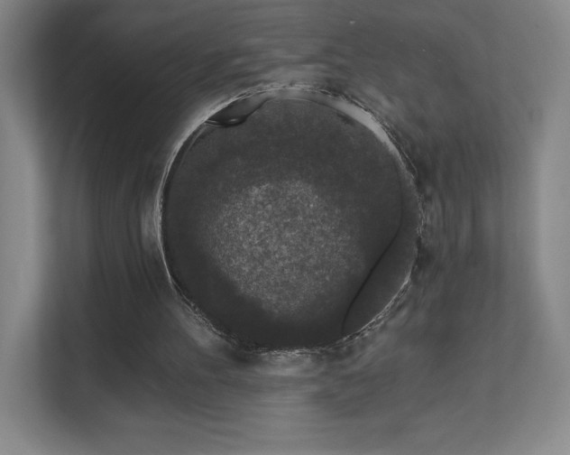 X0000111640100200907171555