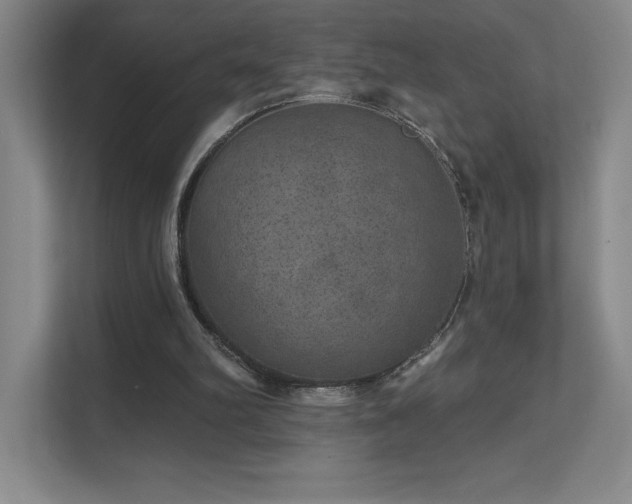 X0000111640102200907171555