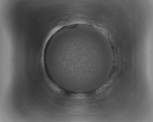 X0000111640104200907171555