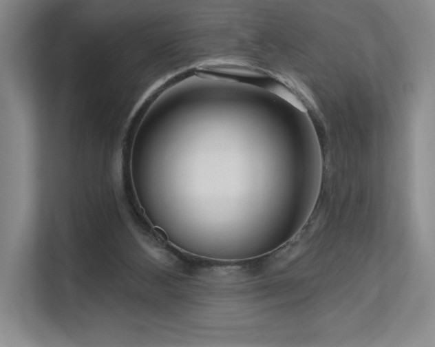 X0000111640108200907171555