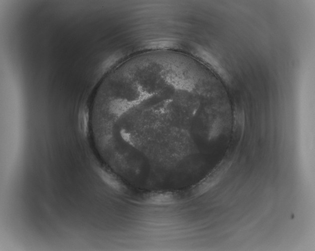 X0000111640110200907171555