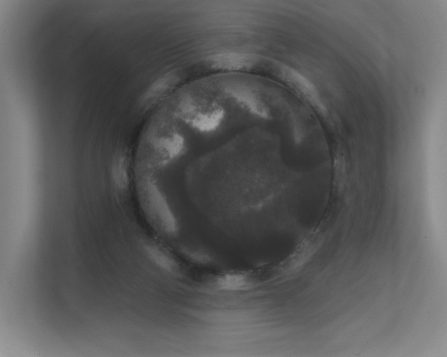 X0000111640114200907171554