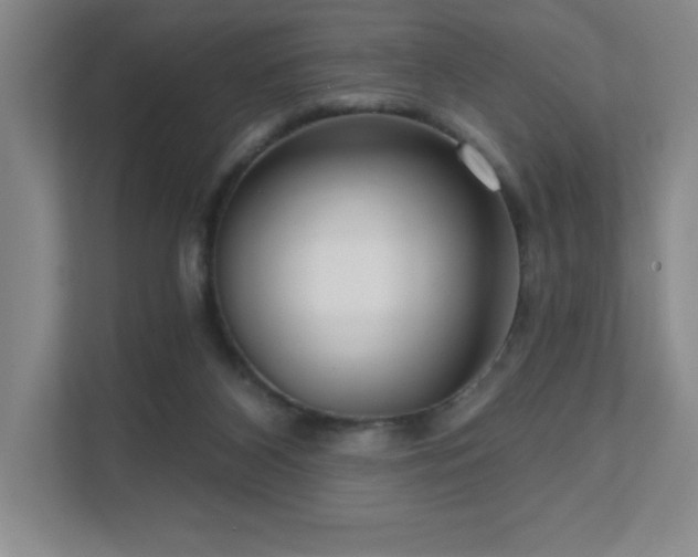 X0000111640116200907171554