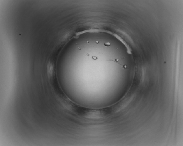 X0000111640123200907171554