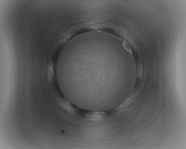 X0000111640128200907171554