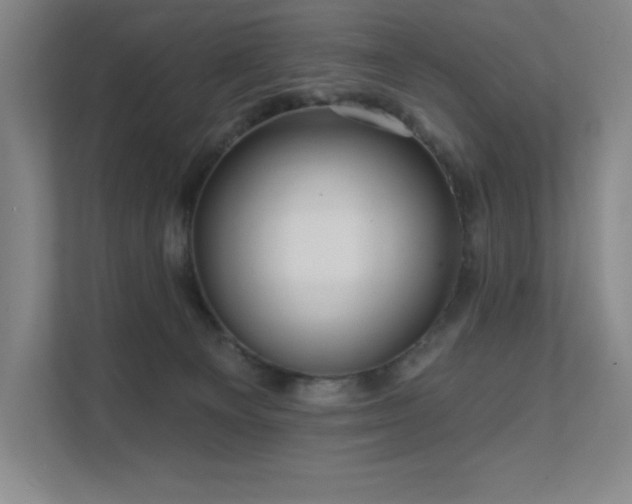 X0000111640129200907171554