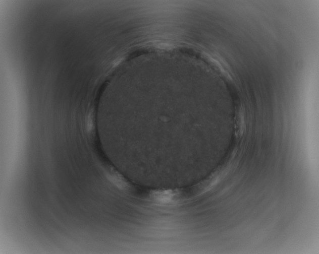 X0000111640131200907171554