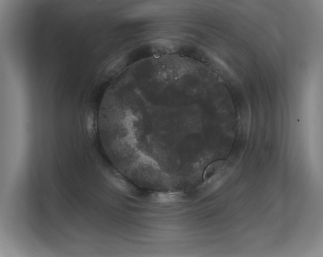 X0000111640134200907171554