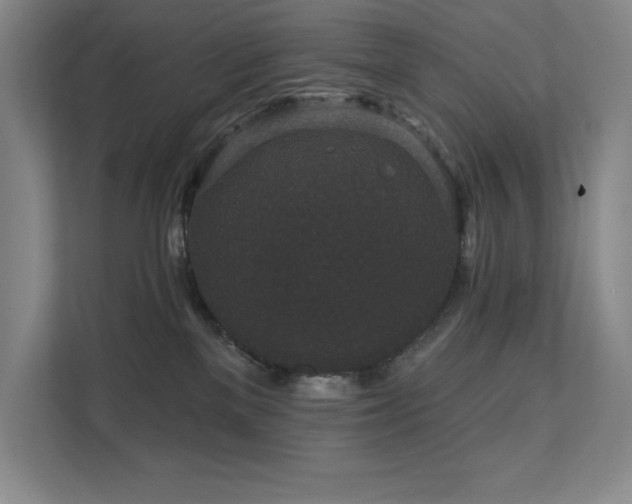 X0000111640137200907171554