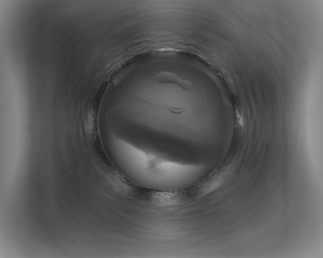 X0000111640139200907171554