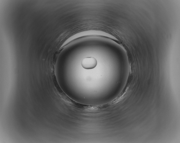 X0000111640140200907171554