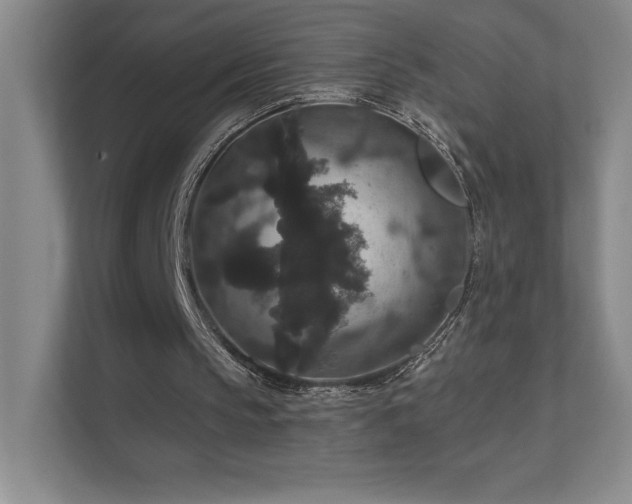 X0000111640145200907171553