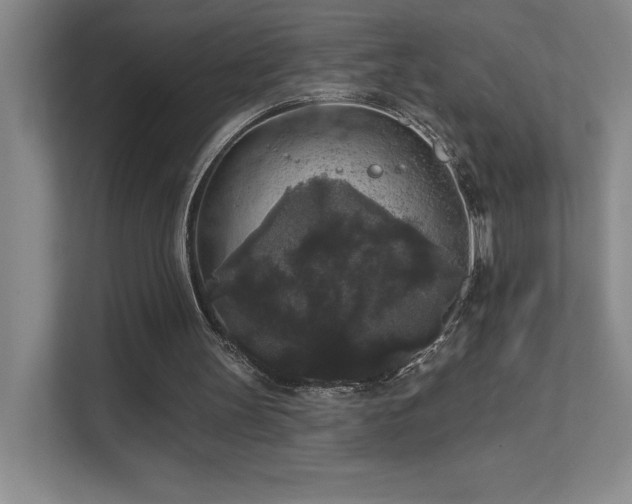 X0000111640147200907171553