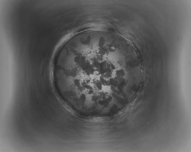 X0000111640149200907171553