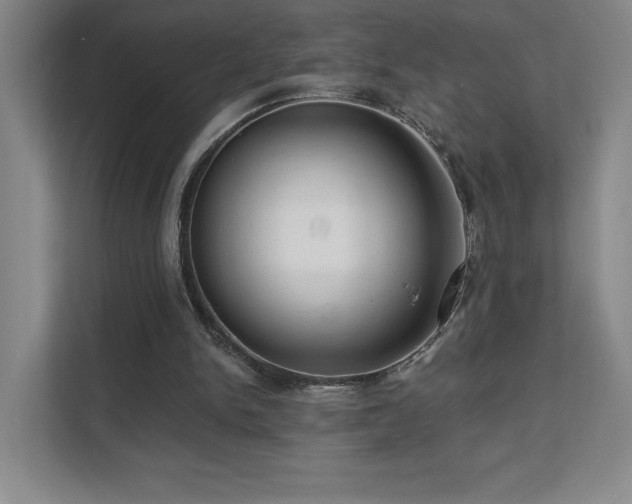 X0000111640150200907171554