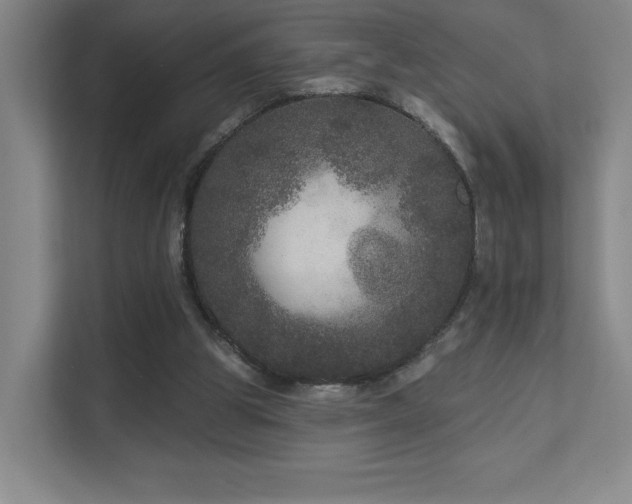 X0000111640153200907171554