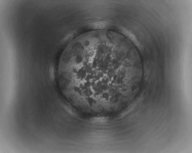 X0000111640161200907171554