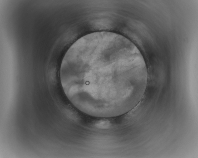 X0000111640162200907171554