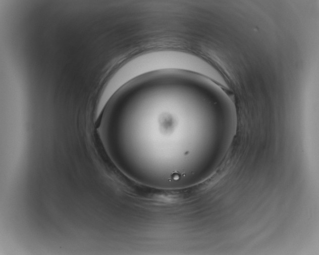 X0000111640164200907171554