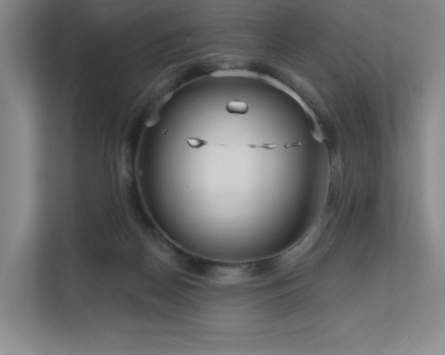 X0000111640170200907171554