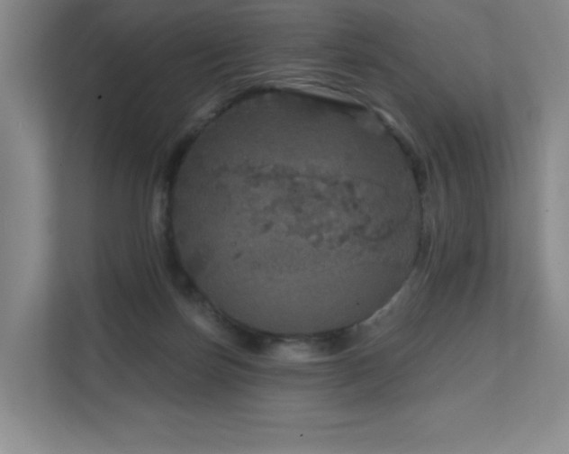 X0000111640171200907171554