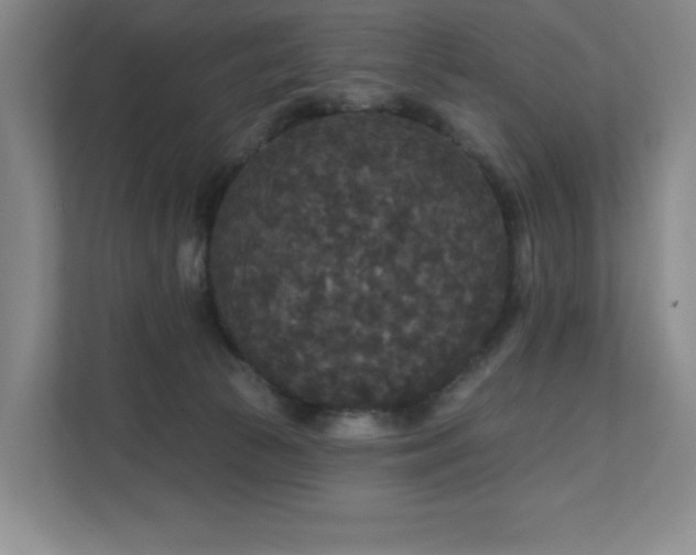 X0000111640177200907171554