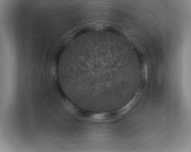 X0000111640178200907171554