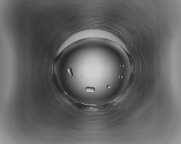 X0000111640180200907171554