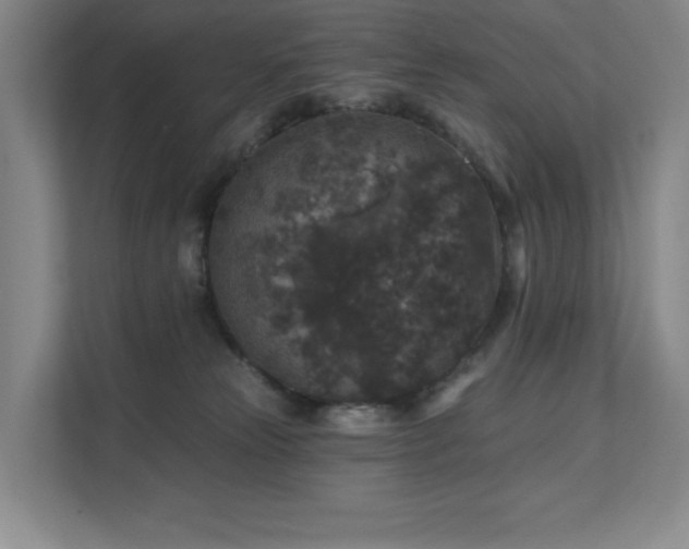 X0000111640181200907171554